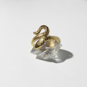 Anello Snake martellato
